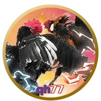 qh77